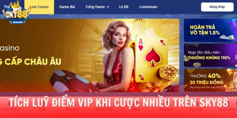 Tích lũy điểm VIP khi cược nhiều trên SKY88