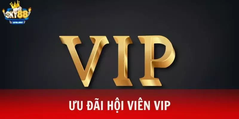 Ưu Đãi Hội Viên VIP - Tràn Ngập Mã Quà Tặng Cho Hội Viên